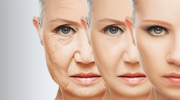 fazat e përtëritje të lëkurës së fytyrës
